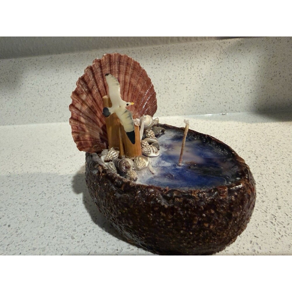 Wax Works Candle Stone Base Shell Accents Water Color Wax With Bird